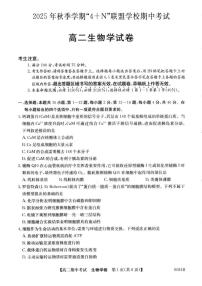 广西南宁市“4+N”联盟学校2025-2026学年高二上学期期中考试生物试卷（含答案）