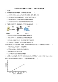 河北省邢台市质检联盟2025-2026学年高一上学期11月期中考试生物试题（Word版附答案）