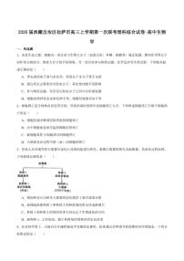 2026届西藏自治区拉萨市高三上学期第一次联考生物试卷（有答案）