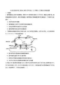 2025届山东省滨州市高三上学期1月期末考试生物试卷（有答案）