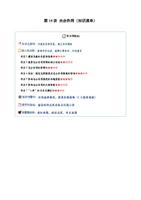 高考生物一轮-光合作用（知识清单）（全国通用）（原卷版）