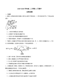 2026德州高二上学期期中考试生物含答案