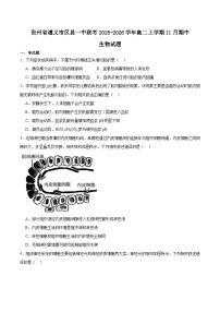 2026遵义区县一中高二上学期期中联考试题生物含答案