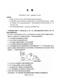 四川省绵阳市2025_2026学年高三生物上学期11月月考试题pdf含解析