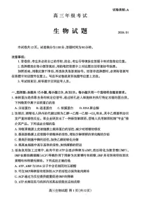 生物-山东省泰安市2026届高三年级上学期期末考试卷及答案