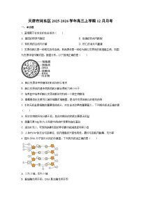 2025-2026学年天津市河东区高三上学期12月月考生物试卷（学生版）