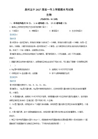 福建省泉州市五中高一上学期期末考试生物试卷（解析版）-A4