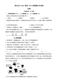 福建省泉州市五中高一上学期期末考试生物试卷（原卷版）-A4