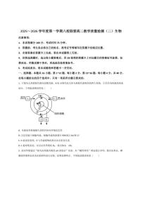 2025-2026学年广东省八校联盟高二上学期教学质量检测（二）生物试卷（有答案）