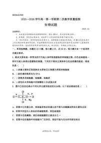 2025-2026学年山东省菏泽市东明县第一中学高一上学期第二次月考生物试题（有答案）