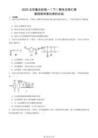 2025北京重点校高一（下）期末生物汇编：基因指导蛋白质的合成