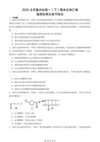 2025北京重点校高一（下）期末生物汇编：基因的表达章节综合