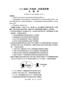 河南省开封市2026届高三上学期第一次质量检测（开封一模）生物试题+答案
