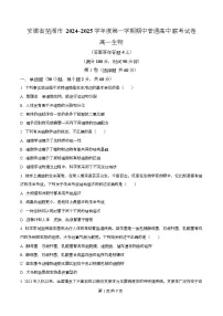 安徽省芜湖市普通高中2024-2025学年高一上学期期中考试生物试卷（Word版附解析）