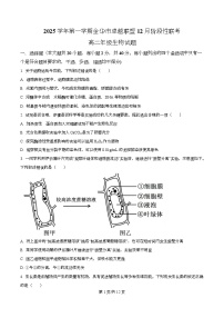 浙江省金华市卓越联盟2025-2026学年高二上学期12月月考生物试卷（Word版附解析）