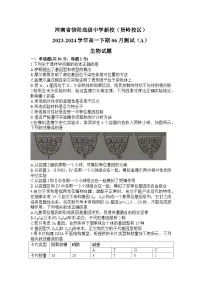 河南省信阳高级中学新校（贤岭校区）2023-2024学年高一下期06月测试（A）生物试题