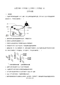 安徽省合肥市第一中学2026届高三上学期12月周测1生物试卷（Word版附解析）