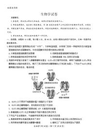 2026届云南省名校联盟高三上学期第四次联考生物试题（含解析）
