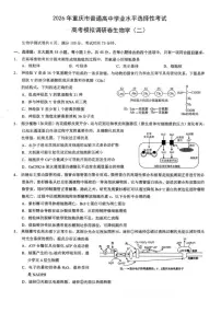 2026届重庆市康德高三上学期高考模拟调研考试（二）生物试题（含答案）