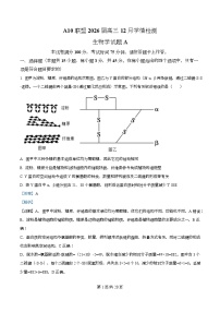 安徽省A10联盟2025-2026学年高三上学期12月学情检测生物试题（Word版附解析）（A卷）