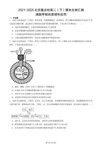 2021-2025北京重点校高二（下）期末生物汇编：细胞呼吸的原理和应用