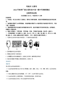 广西壮族自治区玉林市2024-2025学年高一上学期11月期中生物试题  Word版含解析