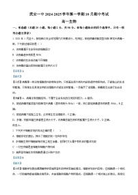 河北省邯郸市武安市第一中学2024-2025学年高一上学期10月期中考试生物试题 Word版含解析