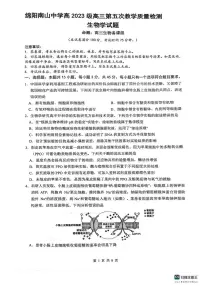四川省绵阳南山中学2025-2026学年高三上学期第五次质量检测生物试卷（PDF版附解析）