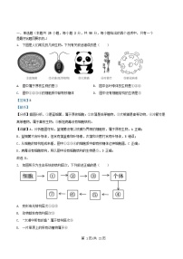 四川省内江市2025_2026学年高一生物上学期期中测试试题含解析