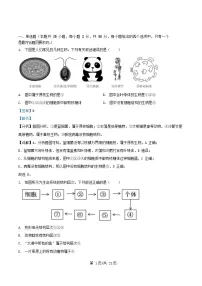四川省内江市2025_2026学年高一生物上学期期中测试试题含解析