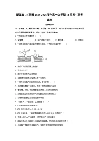 2025-2026学年浙江省G5联盟高一上学期11月期中联考生物试卷（学生版）