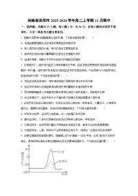 2025-2026学年河南省洛阳市高二上学期11月期中生物试卷（学生版）