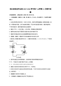 2025-2026学年河北省保定市五校高一上学期11月期中生物试卷（学生版）