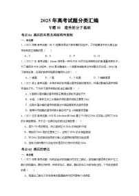 2025年高考生物试题分类汇编 专题06 遗传的分子基础