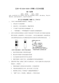 甘肃省兰州第一中学2024-2025学年高一下学期3月月考生物试题