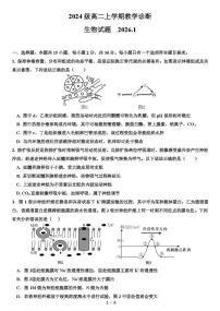 山东省淄博市一中2025-2026学年高二上学期1月教学诊断生物试题（月考）