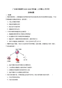 广东省百校联考2025-2026学年高二上学期12月联考生物试卷（Word版附答案）