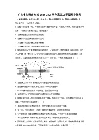 2025-2026学年广东省东莞市七校高三上学期期中联考生物试卷（学生版）