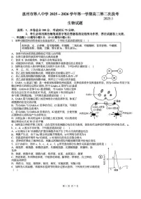 广东省惠州八中2025～2026学年第一学期高二第二次段考生物学试题（含答案）