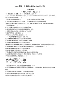 四川省成都市第七中学2024-2025学年高一上学期11月期中考试 生物 Word版含解析