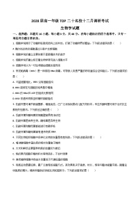 河南省TOP二十名校2025-2026学年高一上学期12月调研考试生物试卷（Word版附答案）