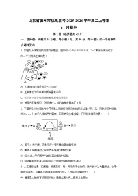2025-2026学年山东省德州市优高联考高二上学期11月期中生物试卷（学生版）
