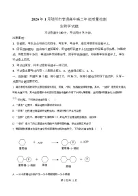 湖北省随州市2026届高三上学期1月期末生物试卷（Word版附解析）