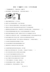 湖北省黄冈市蕲春县第一高级中学2024-2025学年高一下学期3月月考生物试题（原卷版）
