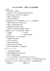 山东省济南市顶级名校2025-2026学年高一上学期12月检测试题 生物（含答案）