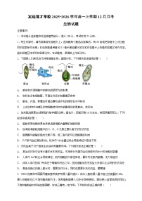 安徽省滁州市定远县育才学校2025-2026学年高一上学期12月月考生物试题（含答案）含答案解析