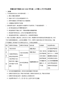 安徽省县中联盟2025-2026学年高二上学期12月质量检测生物试卷（含答案）含答案解析