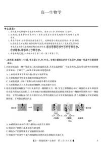 甘肃省白银市靖远县第一中学2025-2026学年高一上学期12月期末生物试题（PDF版，含答案）含答案解析