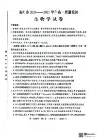 河南洛阳市2024-2025高一年级下学期期末考试生物试卷（无答案）