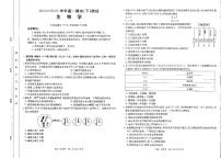 金太阳河南省新乡市2024-2025学年下学期高一期末考试生物试卷（无答案）